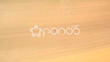 (Perfect Loop) Red Gum Background Detail