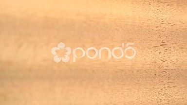 (Perfect Loop) Sapele Wood Background Close-up