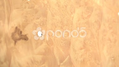 (Perfect Loop) Maple Burl Background