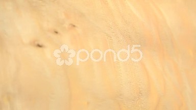 (Perfect Loop) Quilted Maple Wood Texture