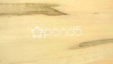 (Perfect Loop) Ambrosia Maple Wood Piece