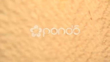 (Perfect Loop) Lacewood Silky Oak Wood
