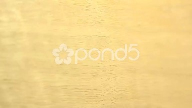 (Perfect Loop) Black Limba Soft Textured