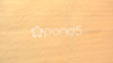 (Perfect Loop) European Beech Wood Cut