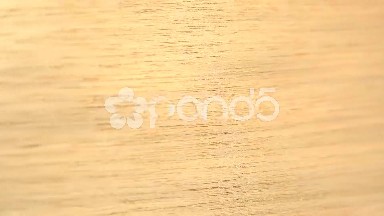 (Perfect Loop) Wood Grain of Butternut