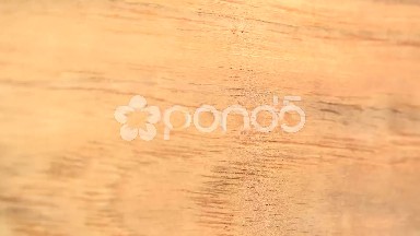 (Perfect Loop) Etimoe Flat Cut Close-up