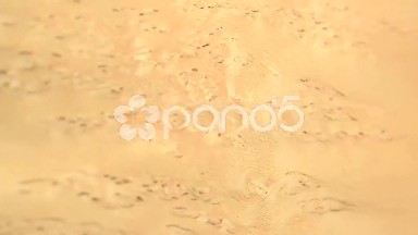(Perfect Loop) Karelian Birch Burl Grain Closeup