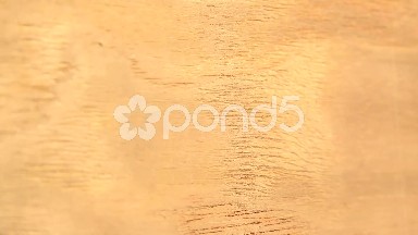(Perfect Loop) Spanish Cedar Real Cut