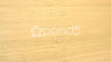(Perfect Loop) Chestnut Seamless Background