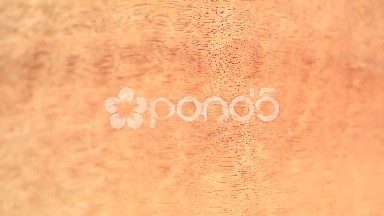 (Perfect Loop) Rich Texture of Curupixa