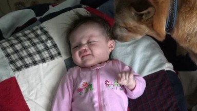 2015 UNITED STATES: Dog Kissing Baby Excessively - Overhead