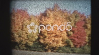 Burlington, Vermont-1960: 8mm Vintage - 60's Autumn Colors Pan