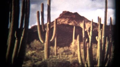 (1960's 8mm Vintage) Organ Pipe Cactus National Monument