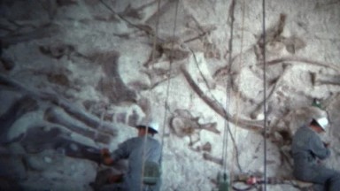 (8mm Vintage) 1966 Men Digging Dinosaur Fossils Colorado, USA.