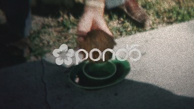 (8mm Vintage) 1957 Dad Showing Kids How To Crack Eat Coconut