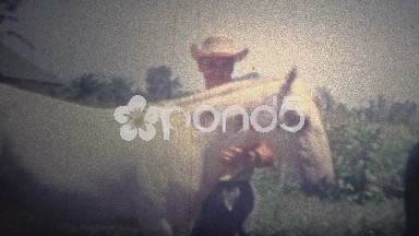 Arkansas, USA (1965): Police riding a horse bareback in the barn.