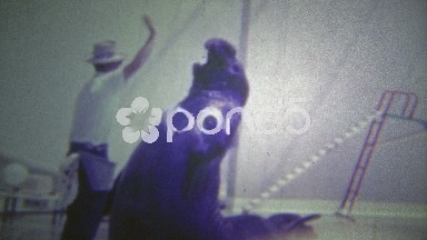 1951: The Walrus Trainer Showing What His Animal Can Do.