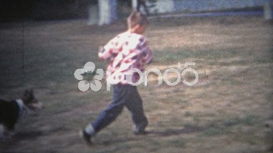1953: Lassie Chasing Children in Suburban Yard, Albany NY