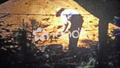 Chattanooga, USA (1955): Farmer hand digging from a pile of fertilizer to feed