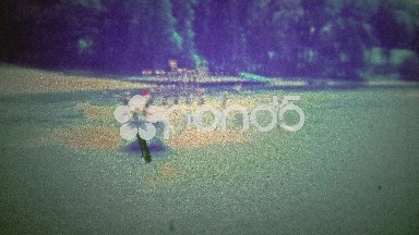 PANAMA CITY, FL. USA - 1957: Fancy waterskiing show with all the tricks and