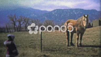 Boulder, CO. USA - 1974: Little Girl Checking Out a Horse on the Ranch