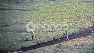 1972: Fly fishermen fishing on small alpine stream.