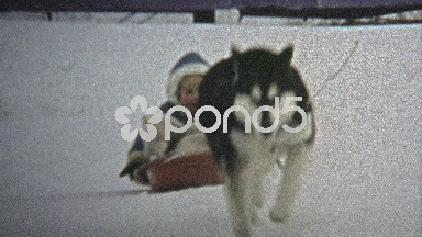 1973: Dog wildly pulling child on winter snow sled.