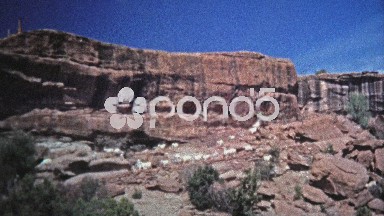 1972: Mountain goats freely roaming the dangerous cliffs edges.