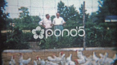1953: Men overlooking a chicken coop farm.