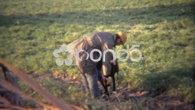 1973: Hunter Rings Geese Neck After Grabbing From Hunting Dog