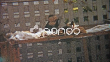 1959: Monkey and Cat Play Together as Animal Companion Buddy Friends