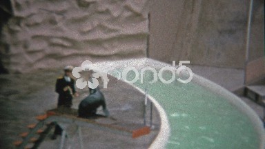 1962: Seal Aquatic Show Diving for Crowd Entertainment