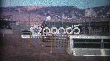 1966: Steeplechase horse jumping over gates and obstacles.