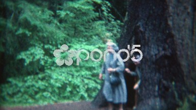 1969: People Coming Out of the Hollowed Inside of Large Tree