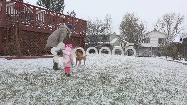 Mom plays fetch with dog to entertain 1 year old child during snowstorm.