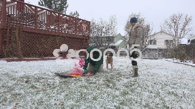 Baby's first sled ride across the flat snowy lawn during blizzard beginnings.