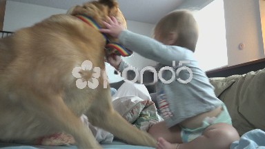Mom supervising baby and dog play wrestling match.