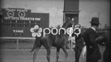 1935: Black man handling horse at race gets glare from white owner. HIALEAH,