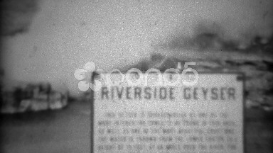 1937: Riverside Geyser White Steam Smoke Gas Blows Windy Vapors. Yellowstone