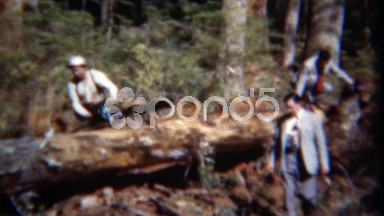 1949: Executive Businessmen Visit Tree Logging Lumberjack Chainsaw Worker. Del