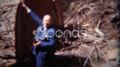 1949: Ceo Showing Off Giant Harvested Tree to Investors Back East, Del Mar, California