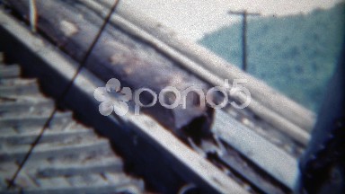 1949: Log Going Up Conveyor Belt Chain to Lumber Mill Processing Factory