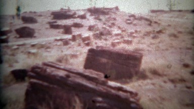 1957: Petrified Wood Forest National Park Travel Log, Adamana, Arizona