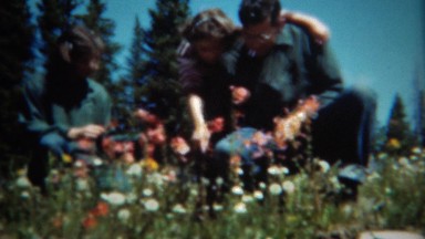 1953: Dad and daughters picking colorful wildflowers in mountain meadow.