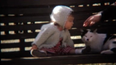 1971: Toddler girl sitting on park bench playing with cat.