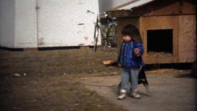 1974: Puppy dog tugging baby girl around rabbit hutch.