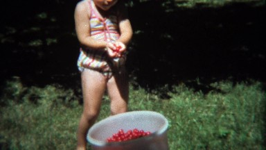 1974: Girl adding handfuls of cherry tomatoes to large bucket.