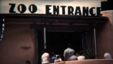1972: Retro zoo entrance sign attracts animal loving visitors.