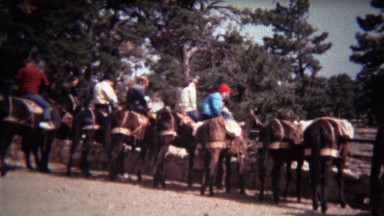 1972: Grandma carefully getting off horse after long trip.