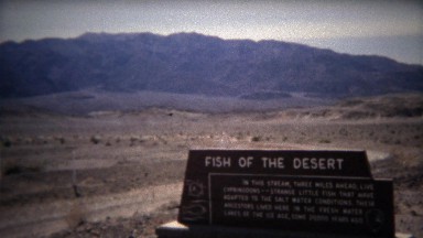 1971: Fish of the Desert sign and river water alive with animals.